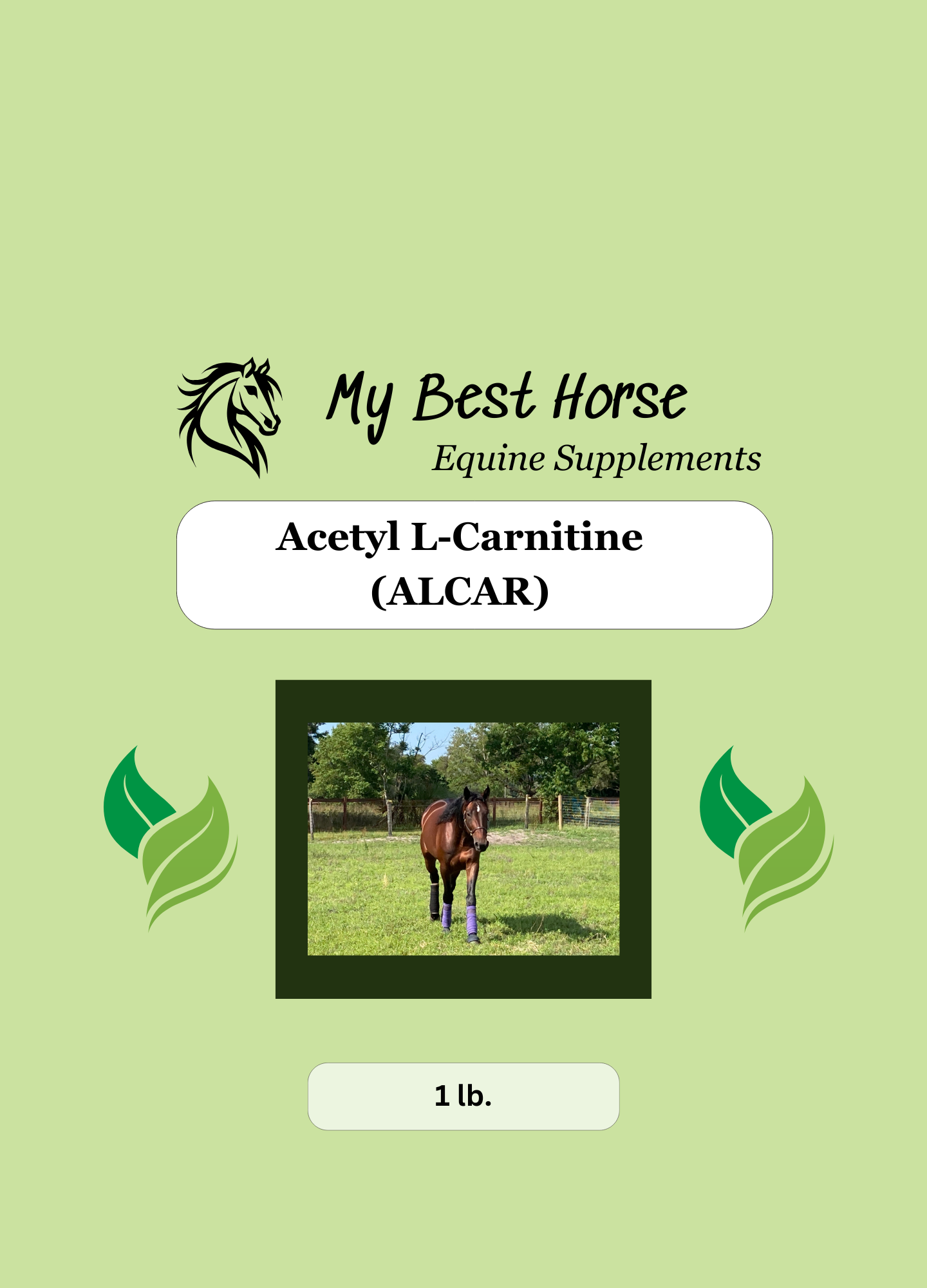 Acetyl L-Carnitine (ALCAR) My Best Horse Inc. Acetyl L-Carnitine (ALCAR) My Best Horse Inc.