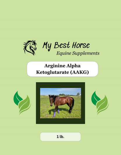 Arginine Alpha-Ketoglutarate (AAKG)