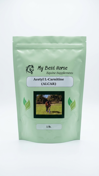 Acetyl L-Carnitine (ALCAR)