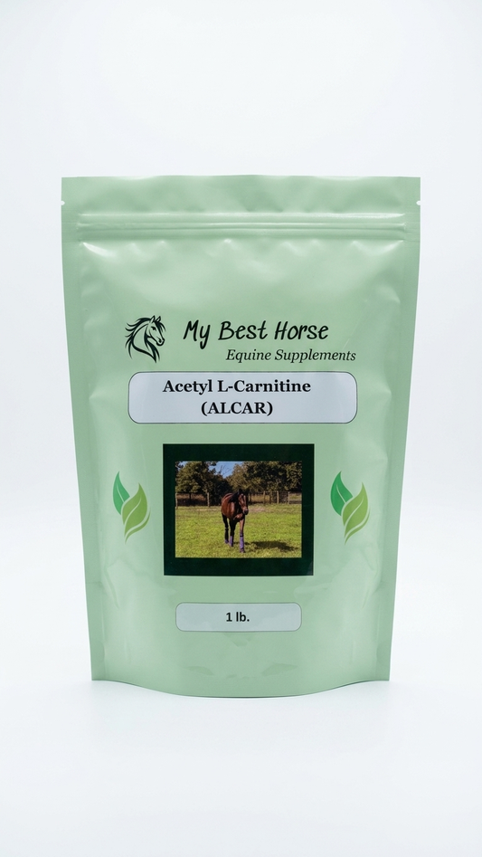 Acetyl L-Carnitine (ALCAR)