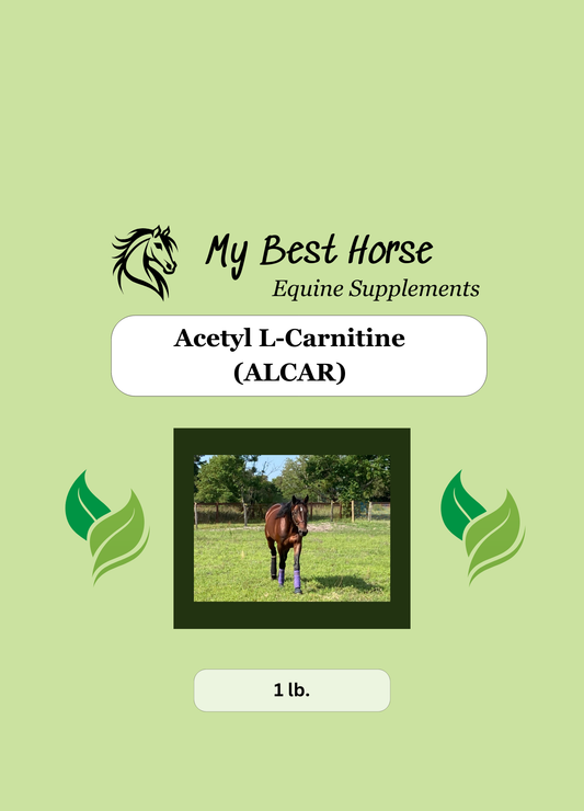Acetyl L-Carnitine (ALCAR)