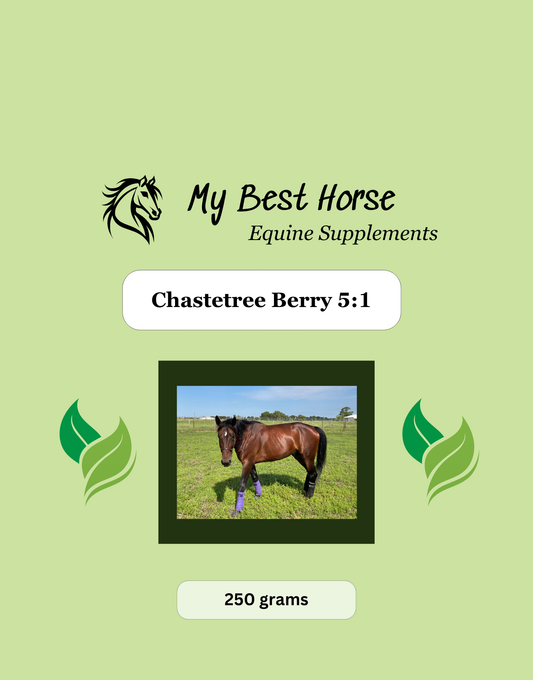 Chastetree Berry 5:1