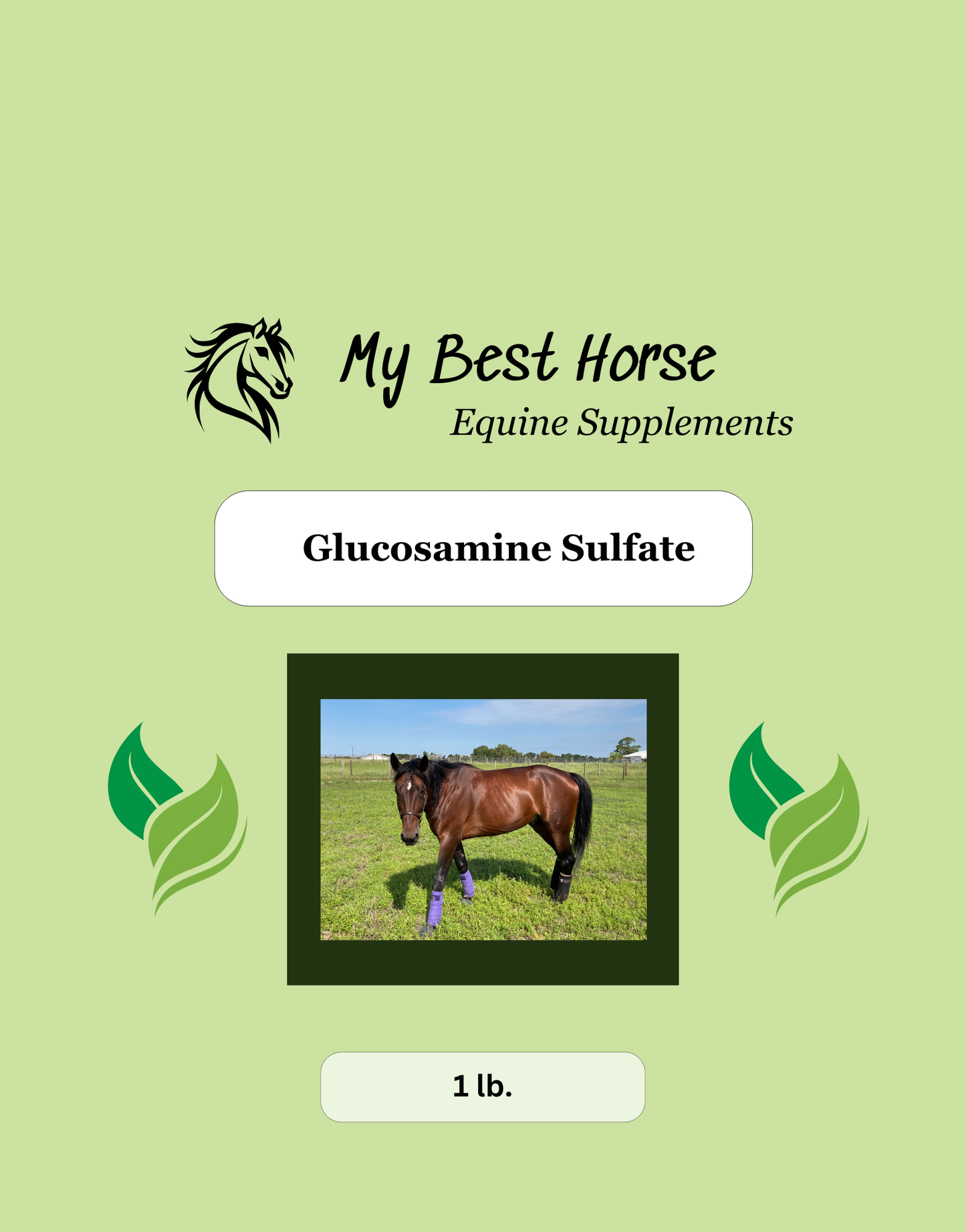 Glucosamine Sulfate