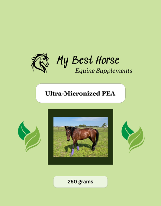 Ultra-Micronized PEA