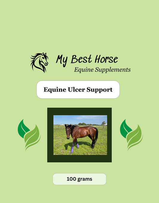 Equine Ulcer Support