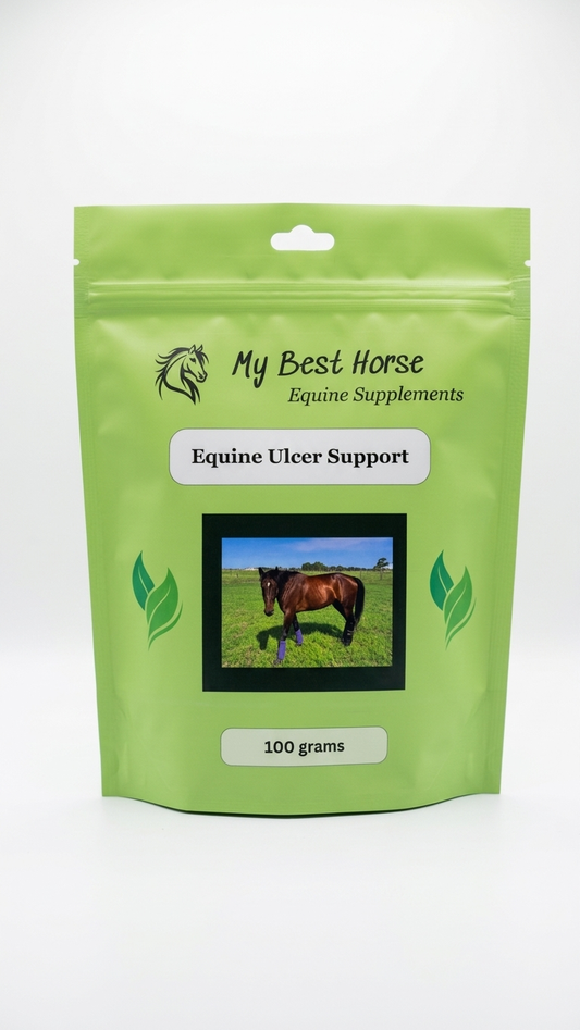 Equine Ulcer Support
