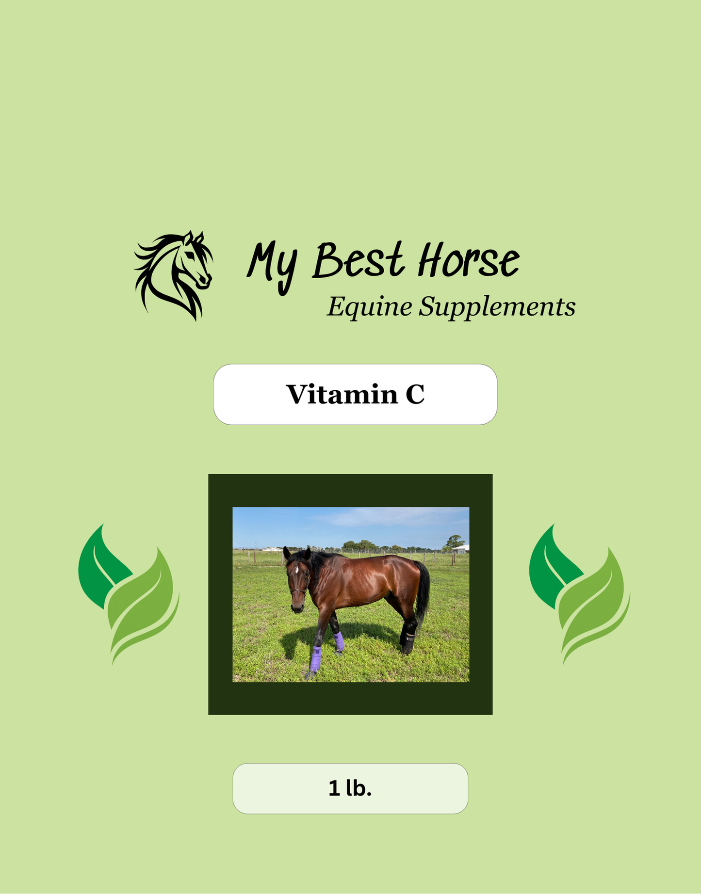 Vitamin C powder (Ascorbic Acid)
